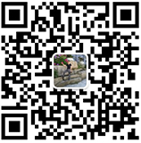 1540276128291413.jpg
